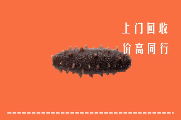 高价求购：临汾回收海参