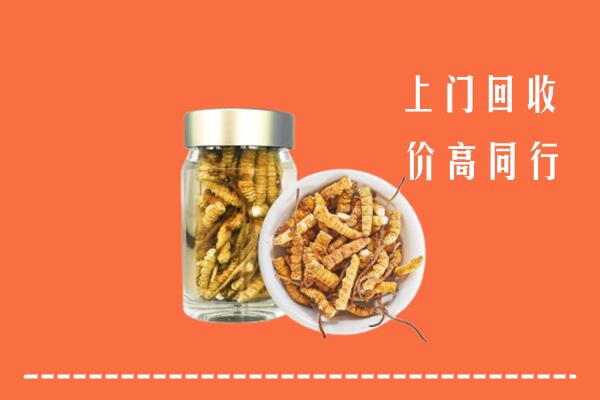 临汾回收冬虫夏草