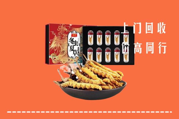 临汾回收虫草